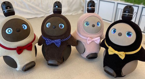 友達に「LOVOT」を紹介すると非売品の「LOVOT蝶ネクタイ」とクーポンをプレゼント 製造は明治40年創業の老舗織元 画像