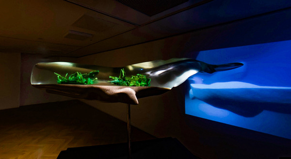 「入場できない美術展」魅力的なクジラ作品で知られる山田勇魚氏の世界を体感 前田建設工業 ICI総合センター 画像