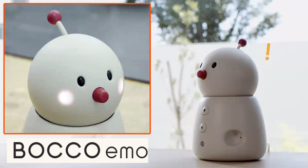 家族の絆を繋ぐ未来のファミリーロボット「BOCCO emo」(ボッコ エモ)発表　光るほっぺと動くボンボリが可愛い　emo語も話す 画像