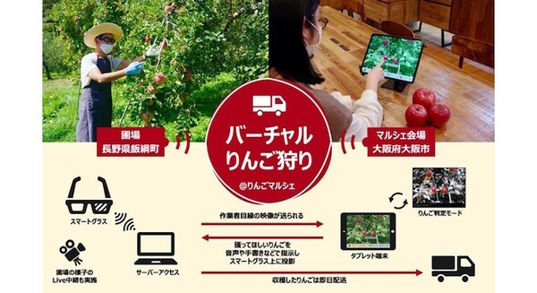 スマートグラスを活用した「バーチャルりんご狩り」Osaka Food Labの「りんごマルシェ」で開催 画像