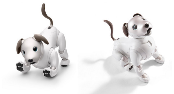 オリックス・レンテックが「aibo」(アイボ)の法人向けレンタルサービスを開始 プログラミング教育など、幅広い利活用を支援 画像