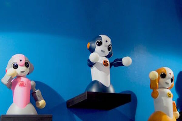 「ぱっぺーが案内する『国際ロボット展2015』で気になるコミュニケーションロボットツアー」レポート 画像