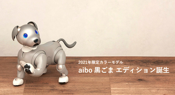 【速報】ソニーのペットロボット「aibo」2021年の限定バージョンは「黒ごま エディション」4色から選べる瞳がチャームポイント 画像
