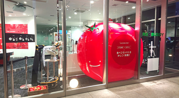 巨大トマトが目じるし YE DIGITALショールームで九州工業大学が研究を進める「トマト収穫ロボット」を展示 スマート農業を促進 画像