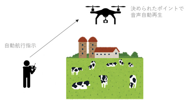 牛の誘導はドローンにまかせて!! ドコモの放牧業務効率化の実証実験をテックファームがサポート 画像