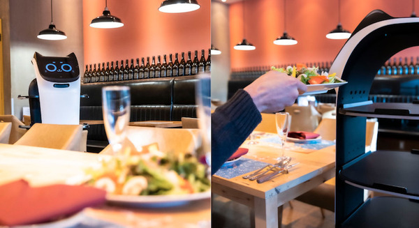 ネコ型配膳ロボット「BellaBot」イタリアンレストラン「Gaston＆Gaspar御茶ノ水ソラシティ店」で試験導入 画像