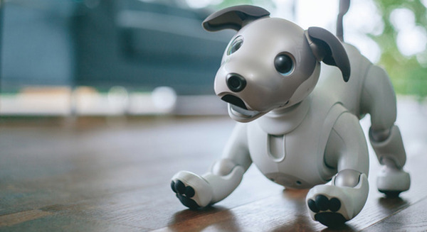 ソニー ペットロボット「aibo」100台を医療機関に無償提供 新型コロナウイルス感染症入院患者のストレス軽減や癒しを目的に 画像
