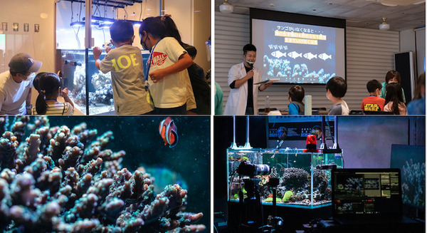 今日は(3月5日)珊瑚の日、サンゴ礁生態系がもたらす恵みと抱える課題 東大発ベンチャー イノカの取り組みとは? 画像