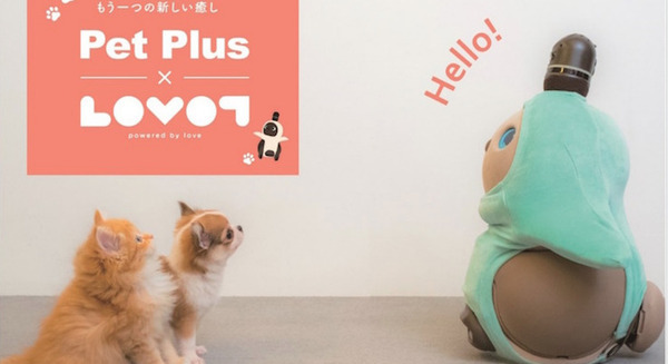 ペットショップ「ペットプラス」に家族型ロボット『LOVOT』が期間限定で登場 ロボットとの新しいライフスタイルを提案 画像