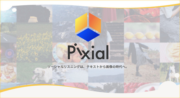 インスタグラムの世界を可視化する「Pixial」本格リリース　SNSマーケや市場調査　ハッシュタグ分析や画像分析など独自AI活用