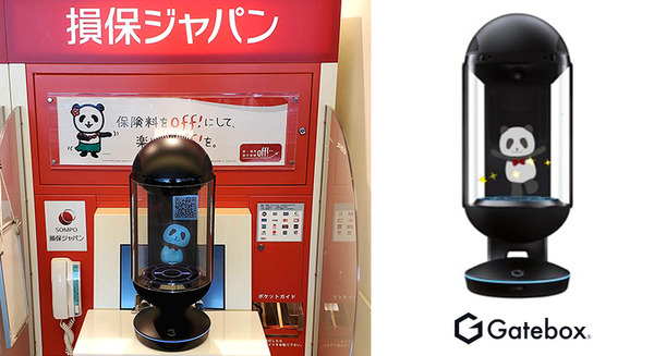 損保ジャパン、Gateboxのキャラクター召喚装置でAIキャラクター「ジャパンダ」が旅行保険をPR　羽田空港と中部国際空港で 画像