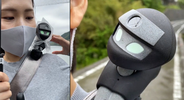 小型ロボット「NIN_NIN」を肩に乗せて観光体験 高知県が雨の仁淀川を歩くインスタライブを配信「リョーマの休日」 画像