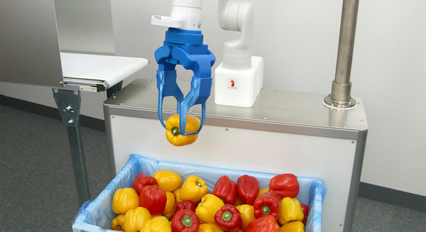 アールティ、野菜投入ロボット用のビジョン&ピッキングシステムを開発 業務用フードスライサー等にカスタマイズ対応が可能 画像