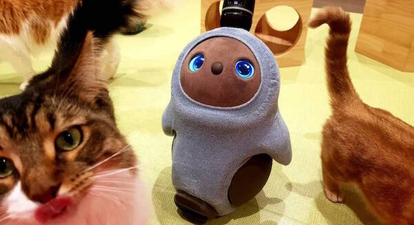 猫と「LOVOT」と自由に遊べる空間が川崎ルフロン内に誕生!モフモフ感満喫の予感 『LOVOT Cafe』でクーポンを配布 画像