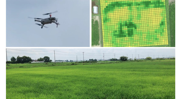 持ち帰り弁当「ほっともっと」のプレナスによるスマート農業 葉色診断で生育状況を見える化 必要箇所に肥料投下 画像