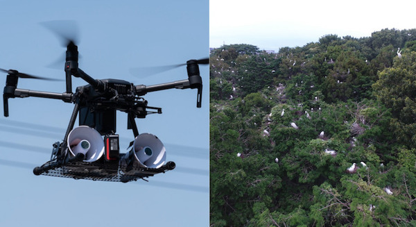 茨城県つくば市内の雑木林に大量繁殖した白鷺をドローンで追い払う 実証実験をJOGAが実施 画像