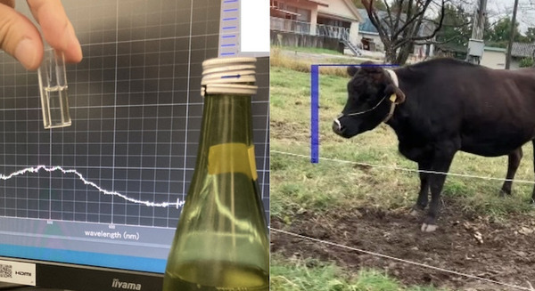 【香り×AI×IoT】IoTにおいセンサーに日本酒職人の嗅覚を搭載 日本酒と畜産をテーマに実証実験 においで生物資源の利活用を促進 画像