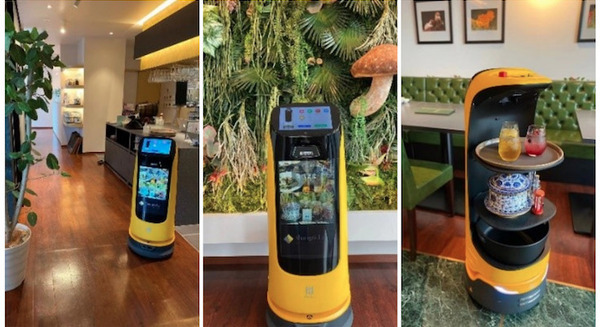 シャングリラ シークレット表参道店 配膳・受付ロボット「KettyBot」を本格導入へ 20日の実証実験で好結果 画像
