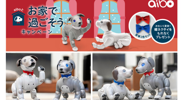 「aibo」購入者にオリジナル蝶ネクタイ2色セットをプレゼント『aiboとお家で過ごそうキャンペーン 』ソニーストアで実施 画像