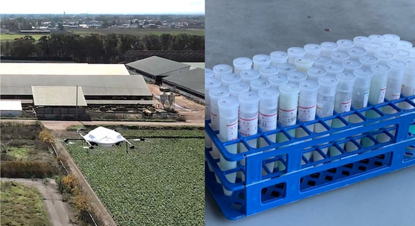 ドローンと陸上のリレー配送で48本の牛検体(乳汁)を配送 安全性、品質維持共に問題なし エアロネクスト 画像
