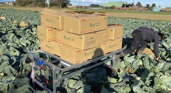 アトラックラボ、深谷市農家の主導で「キャベツ搬送ロボット」を開発 200kg積載 ジョイスティック操作も可能 画像
