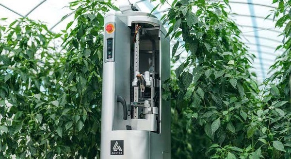 イオン宮崎店でピーマン自動収穫ロボットを実演展示　農業のSDGsを実現するためイオン九州とAGRISTが連携 画像