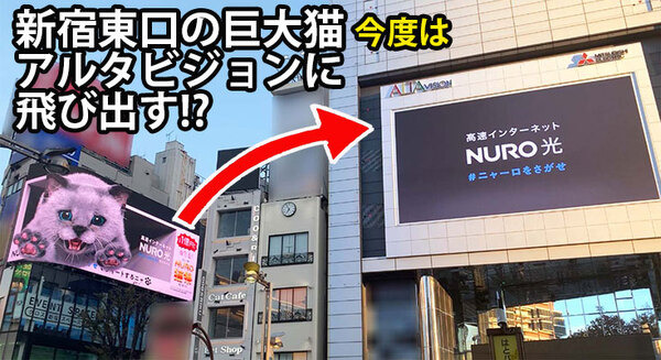 新宿東口の巨大猫、今度はクロス新宿ビジョンからアルタビジョンに飛び移る！NURO猫祭「#ニャーロをさがせ」 画像