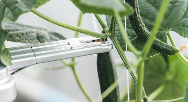 AGRISTがきゅうりの自動収穫ロボットを発表 ピーマン収穫にに次ぐ宮崎県発のスマート農業ロボット第2弾 画像