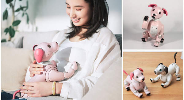 ペットロボット「aibo」2022年の限定バージョンは「いちごミルク 」限定ふるまい「いちごミルク・シェイク」を披露 画像