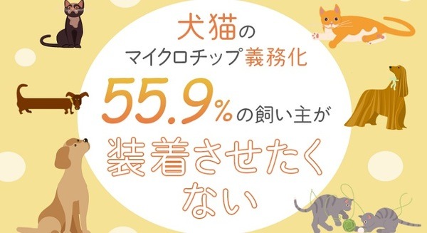 ペットにマイクロチップの装着を義務化　24.5%が「装着済み」、55.9%が「装着させたくない」 日本トレンドリサーチ調べ 画像