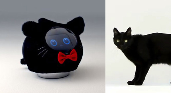 「スーパー猫の日」に会話AIロボット「Romi」が猫化? Romiきせかえシリーズ第1弾「黒猫」を発売 2022年2月22日 画像