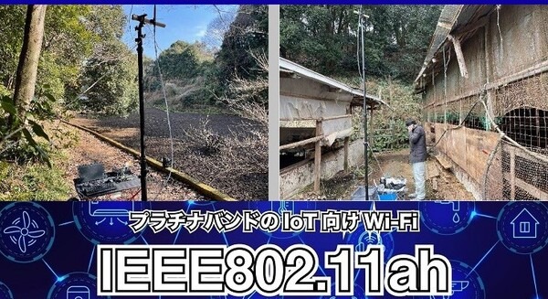 NTT東日本がWi-Fi HaLow「IEEE 802.11ah」でスマート畜産を推進 広域農場でAI動画像解析を行う4つのポイント 画像