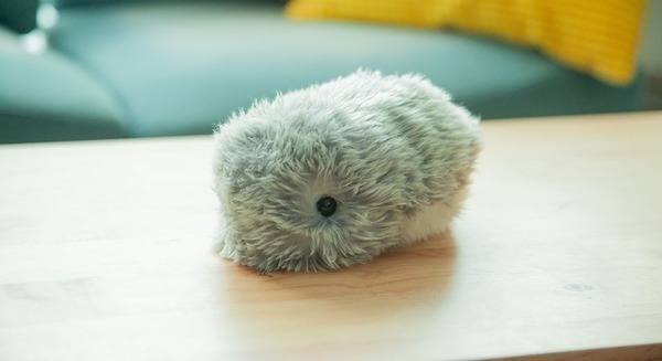 日本発のAIペット型ロボット「Moflin」(もふりん) 蔦屋家電+で展示開始 スキンシップで変化する最先端のペット型ロボット 画像