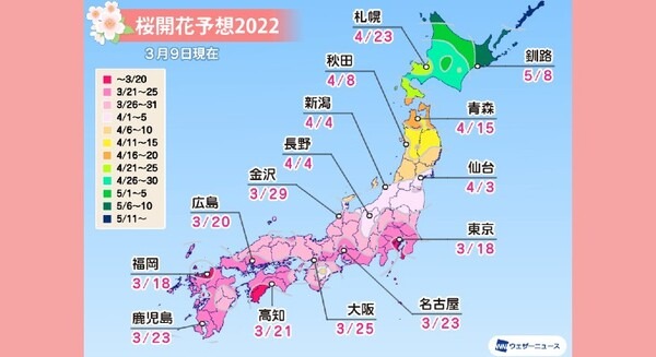 来週末には東京・福岡から桜開花スタート？「桜開花予想」をウェザーニュースアプリ「さくら Ch.」で公開中 画像