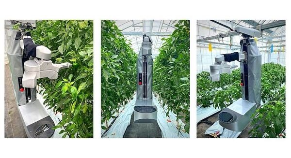 AGRIST ピーマン自動収穫ロボット「L」の最新モデルを発表 2022年秋からレンタルサービスを開始 画像