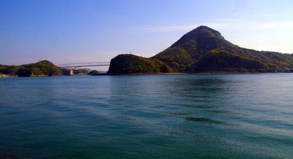 NTTデータが海そうのCO2吸収量を算定する実証事業　天草のアマモ場で「ブルーカーボン」ドローン空撮画像で分析 画像