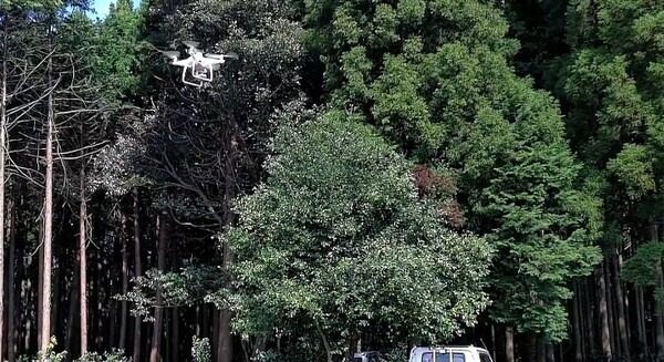ドローンによる「樹木医リモート診断サービス」 樹林の管理や危険木の発見をドローンで支援 画像