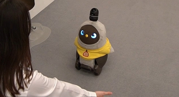 『LOVOT』の目線の高さに合わせてしゃがむと近づいてくる精度が向上 コニカミノルタの骨格検出技術 5月末に配信予定 画像