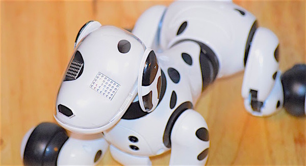 【ハーティダルメシアン】ロボット犬がやってきた！【僕は犬派】 画像