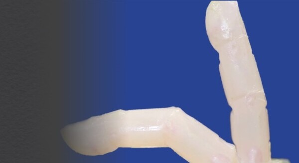 世界初!東大大学院の研究グループが生きた皮膚で覆われた「修復能をもつ培養皮膚付きロボット」の開発に成功 画像