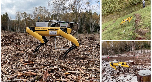 電動四足歩行ロボット「Spot」が林業の作業を担えるか?スマート林業の実現に向けた実証実験 下川町、つくば市で実施 画像