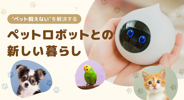 ペットの選択肢に“ペットロボット”はあり? 会話AIロボット「Romi」を開発するミクシィが調査 画像