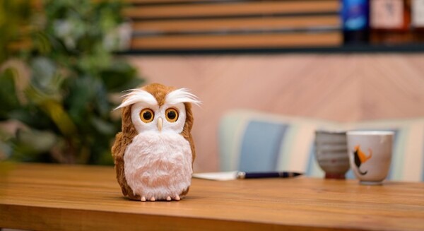 手のひらサイズのシニア向け開運アドバイザーの ペットロボット「ハッピーふくろう」発売 見た目も触り心地も本物そっくり デジレクト 画像