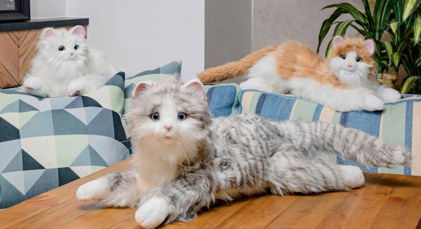 ねこ型ペットロボット「しっぽふりふり あまえんぼうねこちゃん」に新色アイスグレー登場、全3色に【特徴まとめ】デジレクト 画像