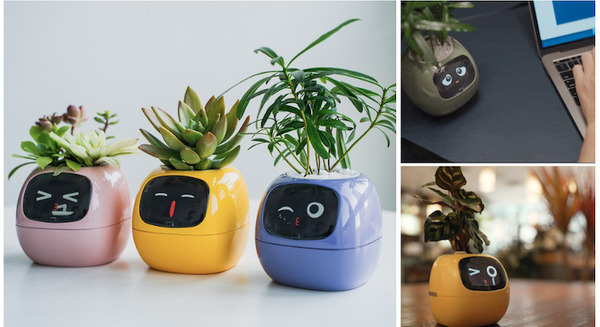 観葉植物がペットに大変身!?植物の気持ちがわかるスマートプランター「Ivy」(アイビー) Makuakeで先行販売開始 画像