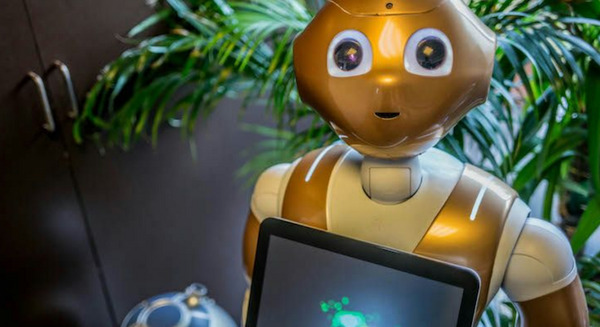 【金色】ロボットスタートが世界初のプロトコル・ロボット「C3-PP」の販売を発表【4月1日】 画像
