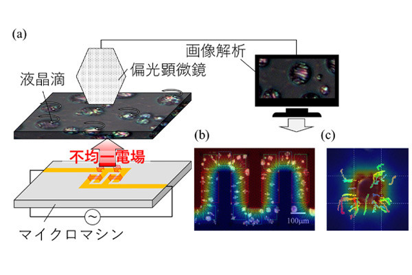 立命館大学がマイクロデバイス内の電場や静電エネルギー分布の可視化に成功 マイクロマシンの性能向上に期待 画像