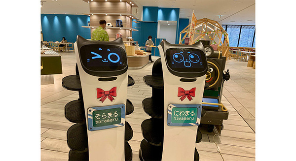 遊園地のようなレストランにキュートなネコ型配膳ロボットのスタッフが仲間入り　北海道 北湯沢温泉・森のソラニワ 画像