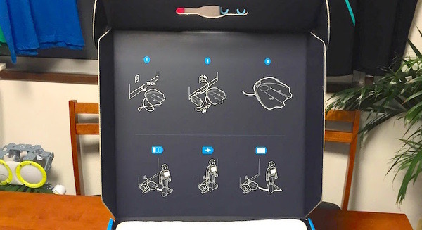 【開封の儀】Pepper充電ベースが届いたよ！【いい感じ】 画像