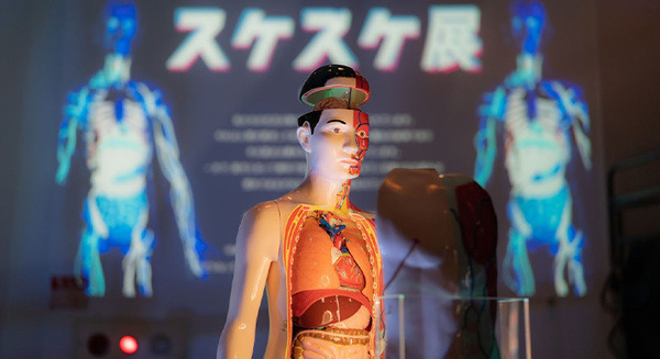 見えない部分を見てみたい『スケスケ展 in TOKYO』開催へ　来場者累計約30万人の話題の展覧会　AIロボットによる案内も 画像